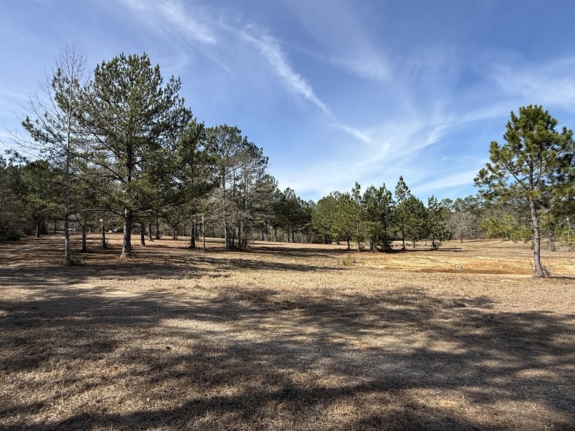 25.7+/- acres located along US Highway 49 South in - photo 7