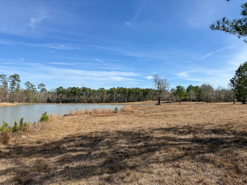 25.7+/- acres located along US Highway 49 South in - photo 8