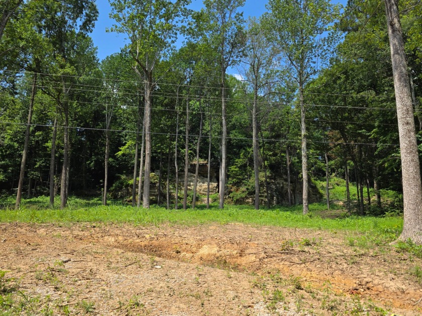 Land you can spread out on! - photo 8