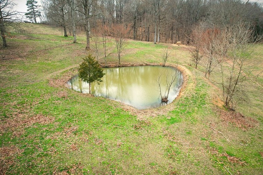 Tucked away on 5 fully fenced acres, this unique 3-bed, 2-bath - photo 3