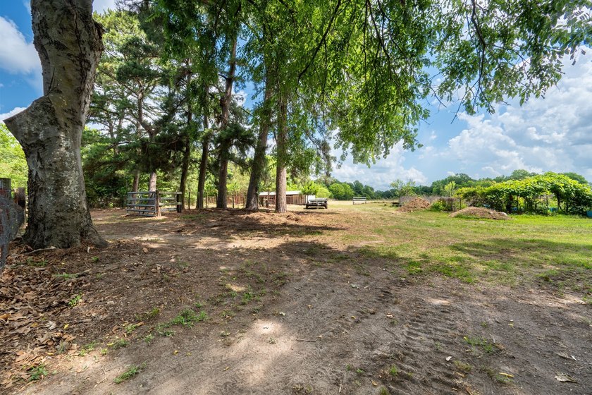 Charming 3 Bedroom Farmhouse on 1 Acre with additional covered - photo 35
