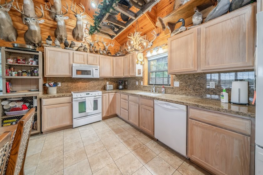 Have you ever dreamed of owning a completely private lakefront - photo 7