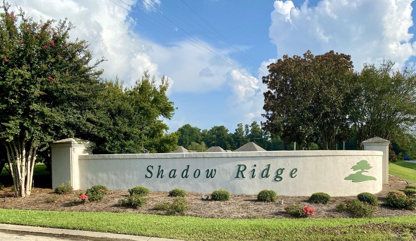 BUILD YOUR DREAM HOUSE on this corner lot in the gorgeous SHADOW - photo 3