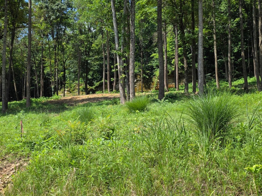 Land you can spread out on! - photo 2