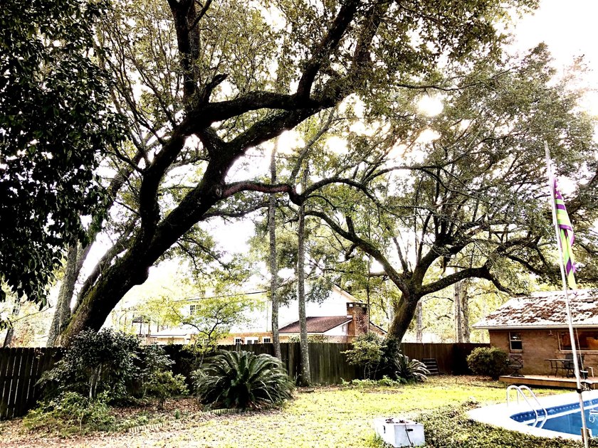 Welcome home to the prettiest neighborhood in Gautier. Huge Live - photo 14