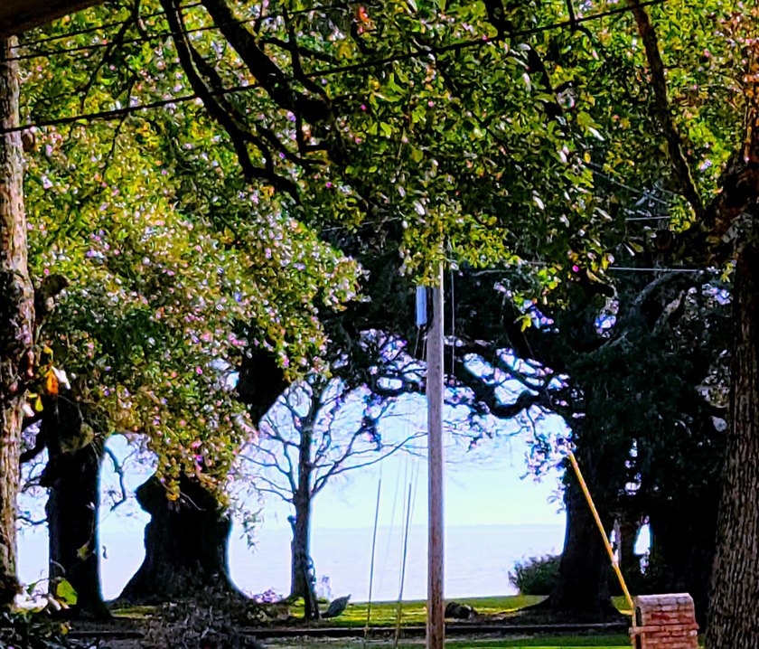 Welcome home to the prettiest neighborhood in Gautier. Huge Live - photo 36