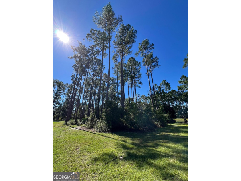 Build your dream home on this beautiful 0.65-acre lakefront lot - photo 11
