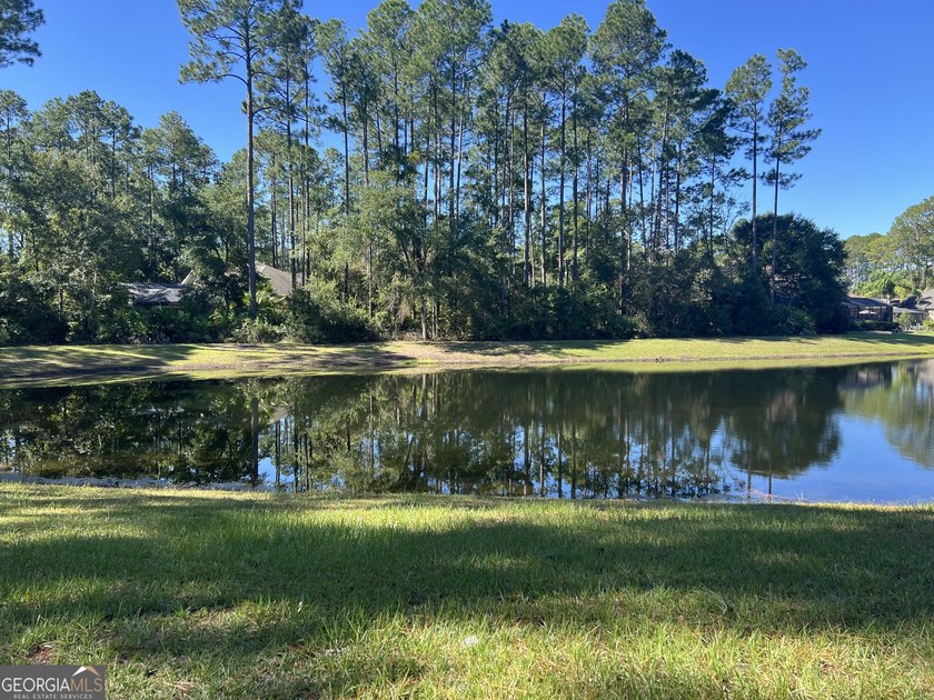 Build your dream home on this beautiful 0.65-acre lakefront lot - photo 13