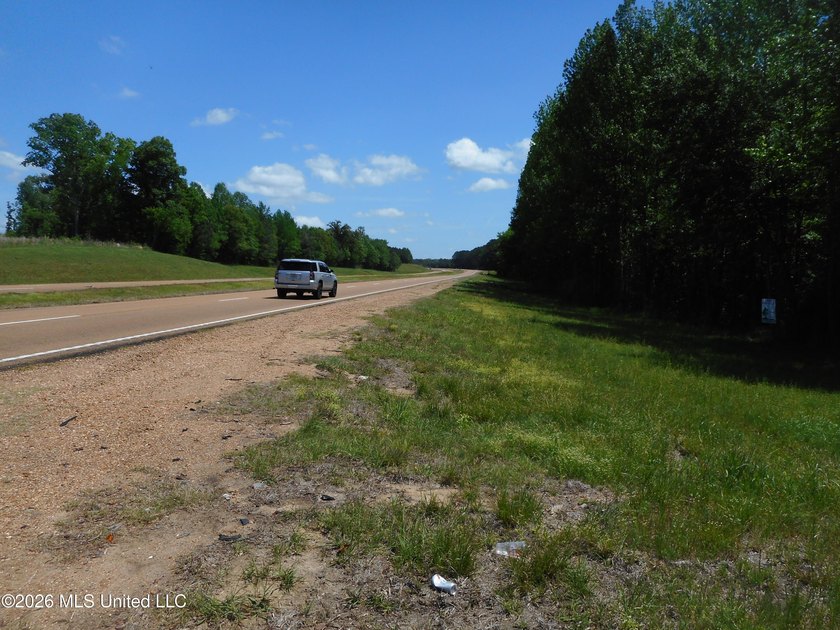 Lena 40+/- acres with about 1,400 feet of frontage along Hwy 25 - photo 9