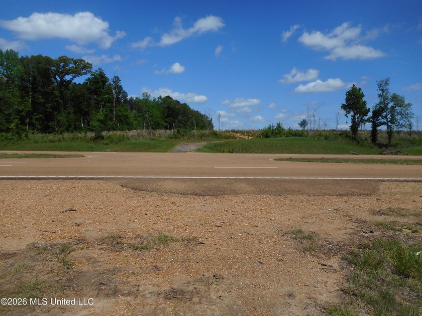Lena 40+/- acres with about 1,400 feet of frontage along Hwy 25 - photo 10