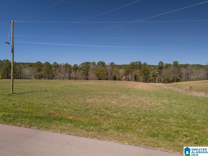 Blue Water Bend is a premier gated community in Jasper, AL - photo 2