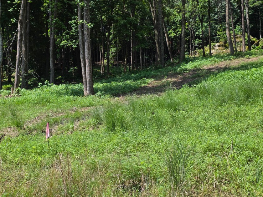 Over an Acre Down the Street from Boat Ramp! - photo 3