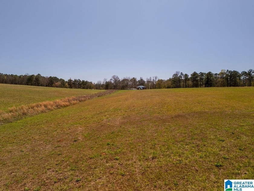 Blue Water Bend is a premier gated community in Jasper, AL - photo 7