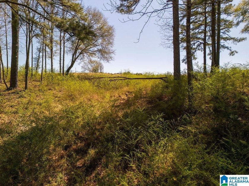 Blue Water Bend is a premier gated community in Jasper, AL - photo 9
