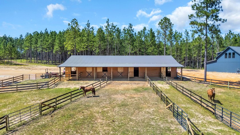 Welcome to your dream farm in Mill Race Equestrian Community! - photo 39