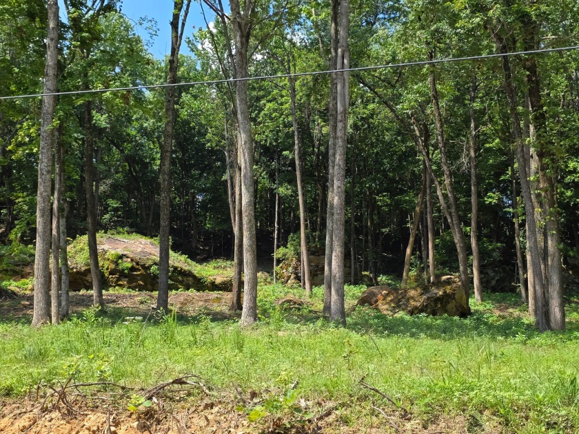 Over an Acre Down the Street from Boat Ramp! - photo 5