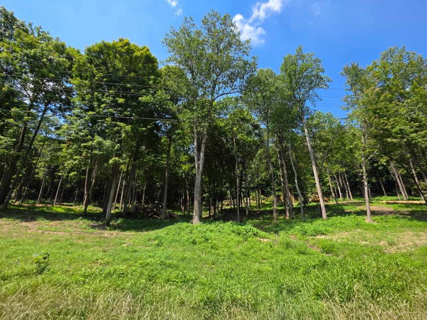 Over an Acre Down the Street from Boat Ramp! - photo 6