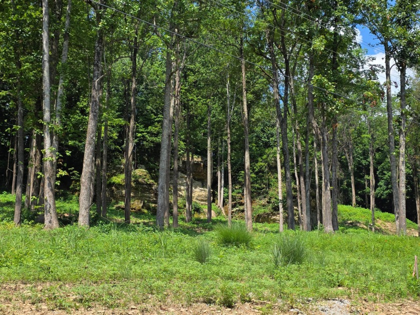 Over an Acre Down the Street from Boat Ramp! - photo 2