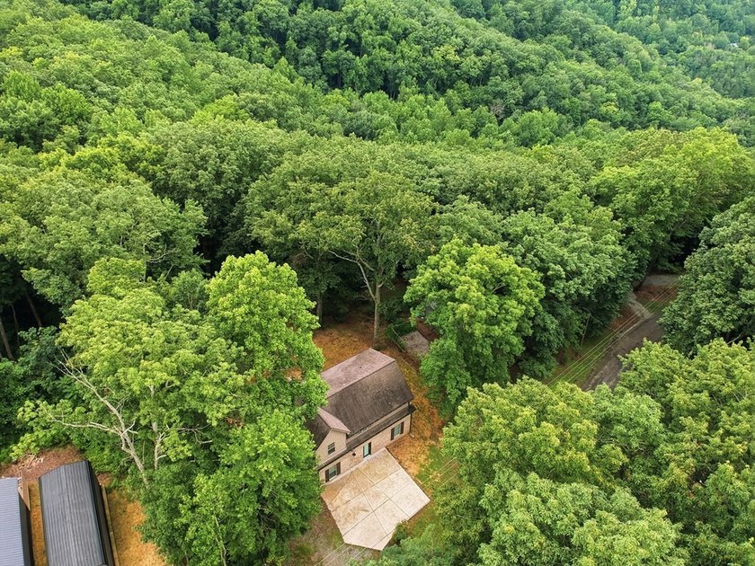 Tucked into a private, wooded setting just minutes from Center - photo 4