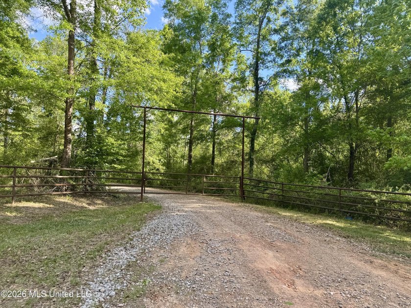 Welcome to your private retreat in the heart of Wilkinson - photo 4