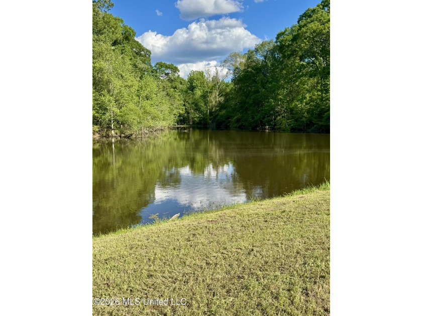 Welcome to your private retreat in the heart of Wilkinson - photo 8