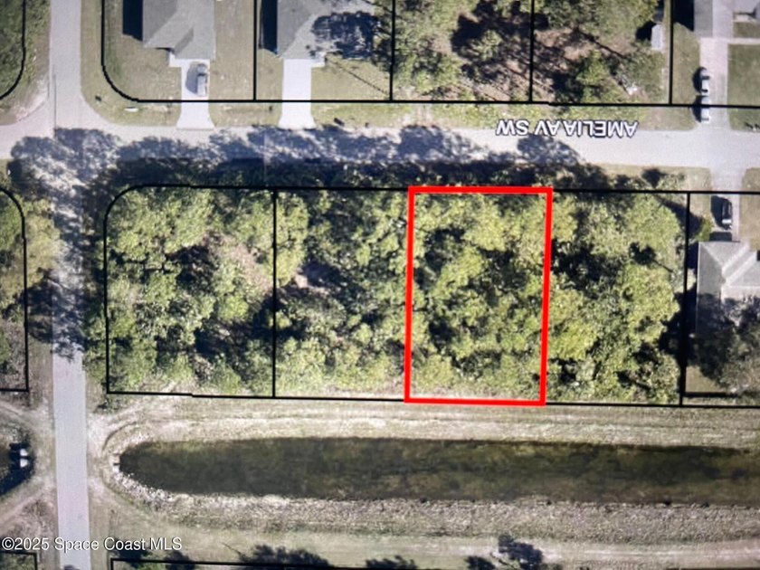 2 Lots Available-Side by Side. 1322 &amp; 1330 Amelia Ave. Paved - photo 2