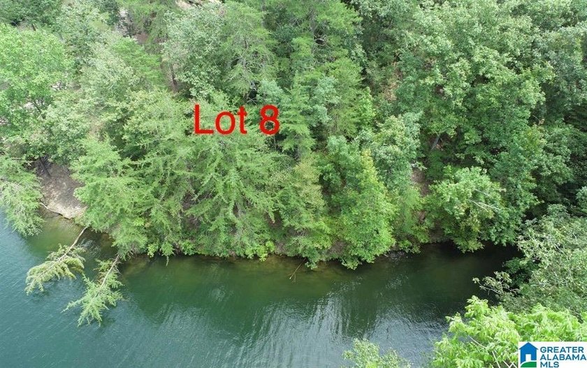 Beautiful 1 acre lot on the south end of Lake Wedowee, in gated - photo 7