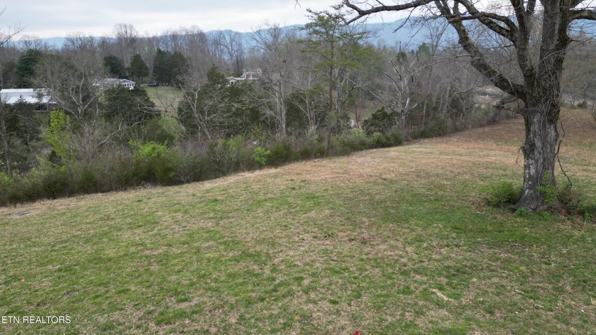 Beautiful 1.73-acre lot at the lake with 420 FEET OF - photo 13