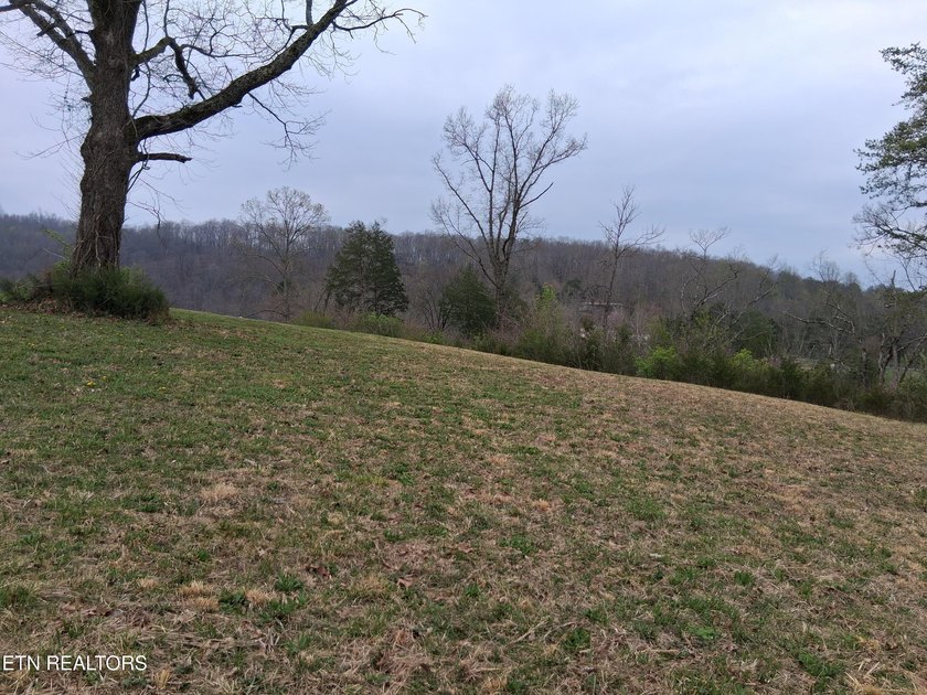 Beautiful 1.73-acre lot at the lake with 420 FEET OF - photo 15