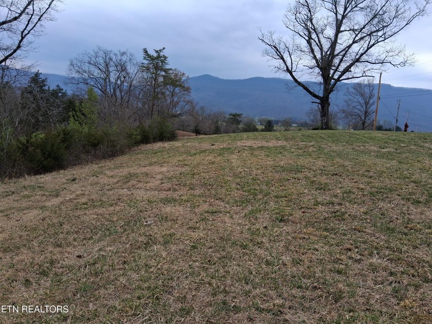 Beautiful 1.73-acre lot at the lake with 420 FEET OF - photo 16