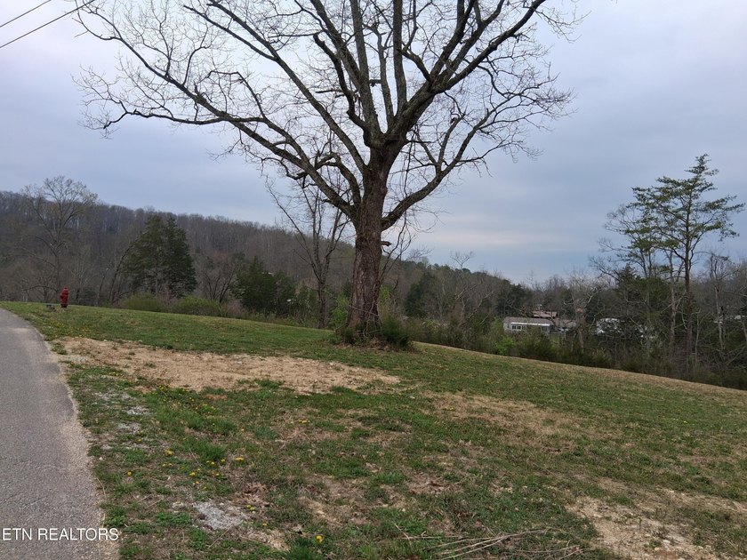 Beautiful 1.73-acre lot at the lake with 420 FEET OF - photo 17