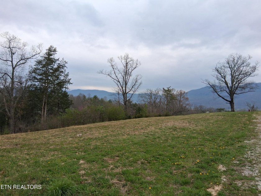 Beautiful 1.73-acre lot at the lake with 420 FEET OF - photo 18