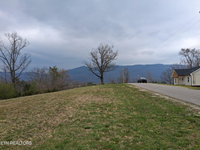 Beautiful 1.73-acre lot at the lake with 420 FEET OF - photo 19