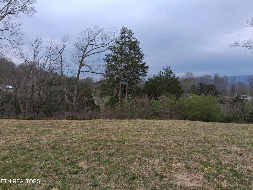 Beautiful 1.73-acre lot at the lake with 420 FEET OF - photo 20