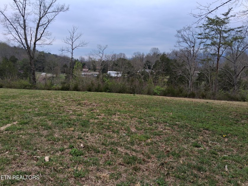 Beautiful 1.73-acre lot at the lake with 420 FEET OF - photo 23
