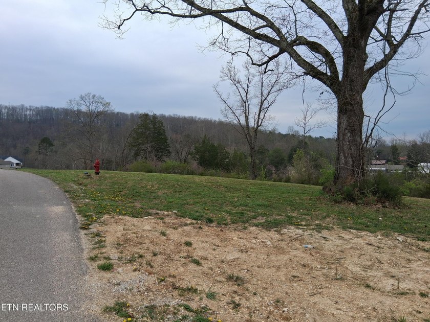 Beautiful 1.73-acre lot at the lake with 420 FEET OF - photo 24