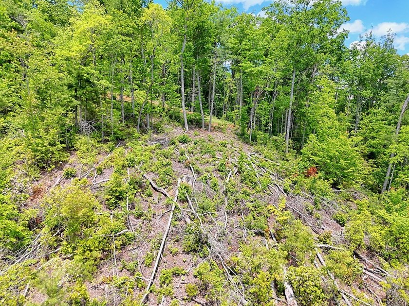 Discover your mountain paradise in the desirable Bryson Creek - photo 15