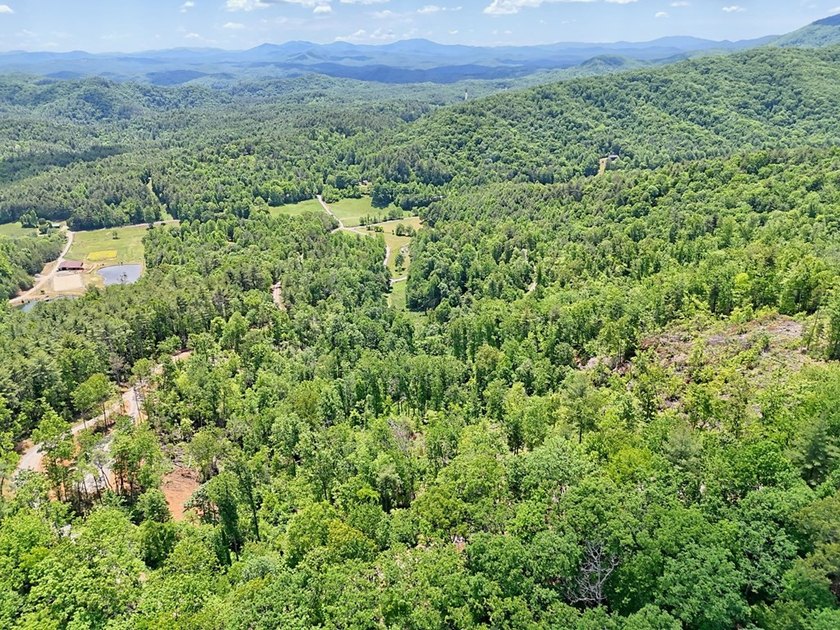 Discover your mountain paradise in the desirable Bryson Creek - photo 16