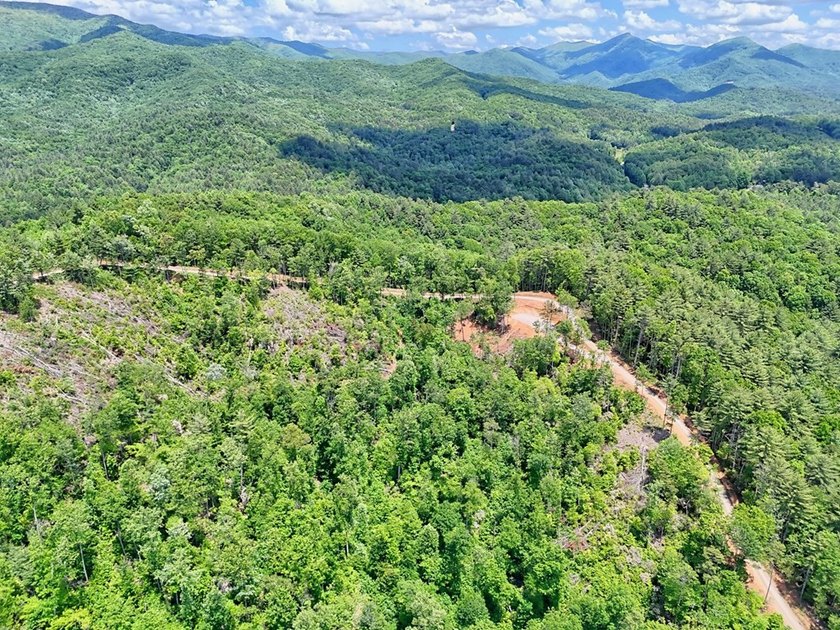 Discover your mountain paradise in the desirable Bryson Creek - photo 18