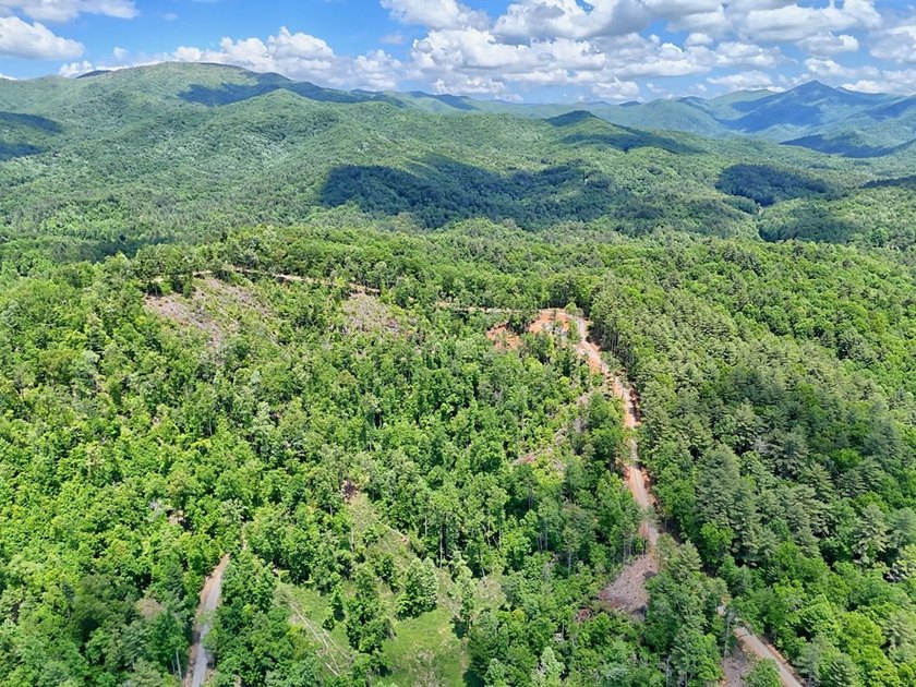 Discover your mountain paradise in the desirable Bryson Creek - photo 19