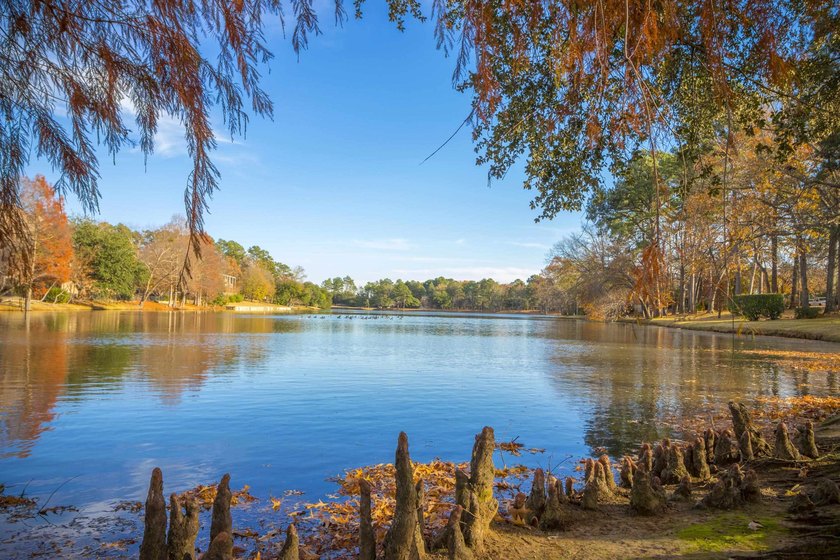Located in one of Longview's most established and sought-after - photo 42