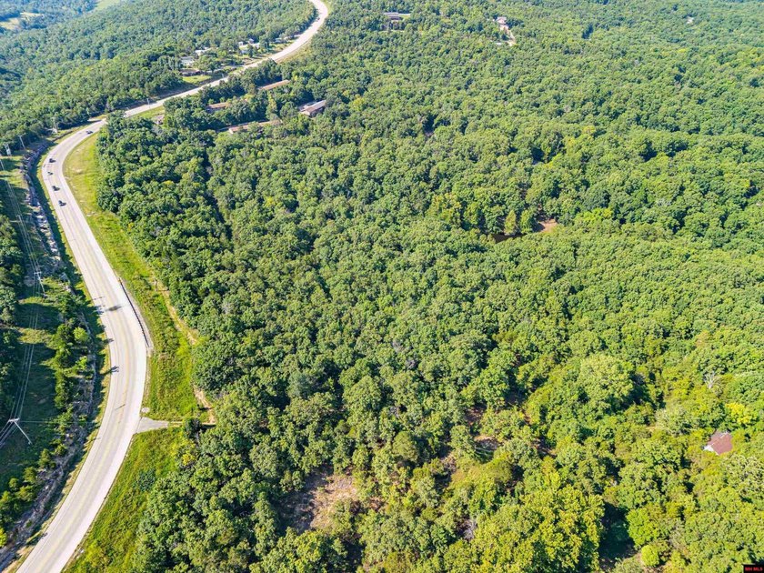 This is a fantastic opportunity, featuring 20 wooded lots - photo 12
