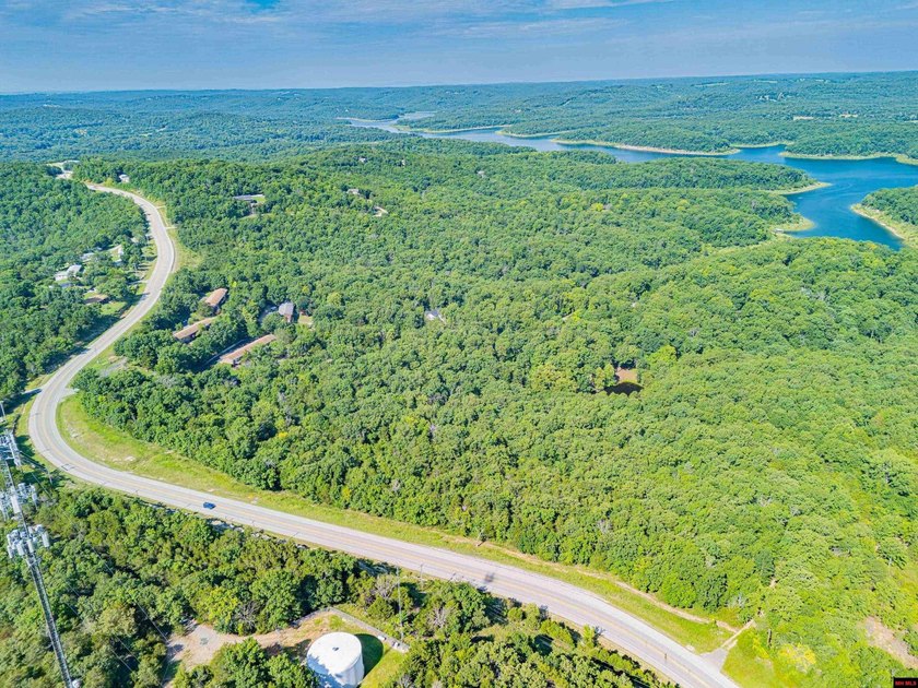This is a fantastic opportunity, featuring 20 wooded lots - photo 13