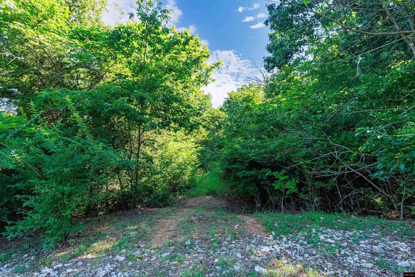 This is a fantastic opportunity, featuring 20 wooded lots - photo 14