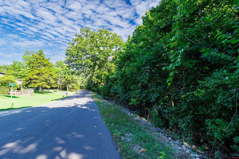 This is a fantastic opportunity, featuring 20 wooded lots - photo 17