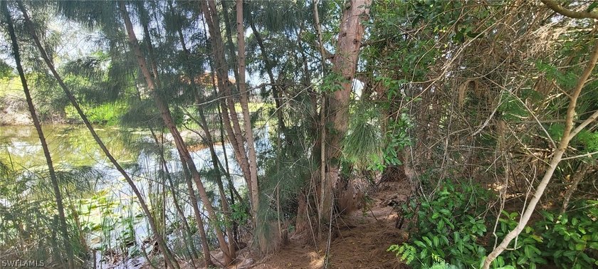 Freshwater canal lot!!! Are you looking to build your dream - photo 5