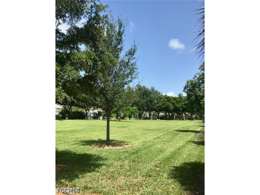 Welcome to Sandoval in Cape Coral living at its finest-this - photo 41