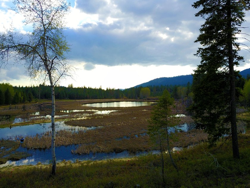 53.21 Acres. This ultra secluded parcel has it's own 5+ acre - photo 4