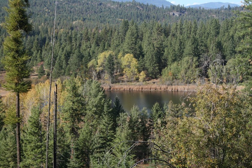 53.21 Acres. This ultra secluded parcel has it's own 5+ acre - photo 6