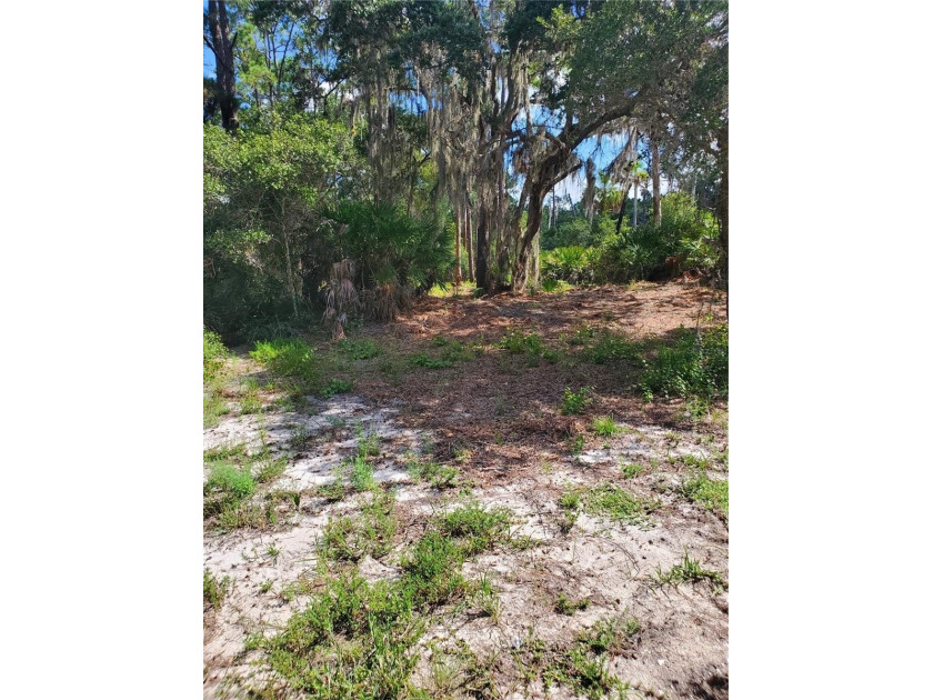 This is a perfect buildable lot in a neighborhood with slightly - photo 2